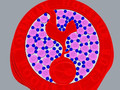totenham hotuspur foodbal culub print model 158618