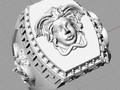 Кольцо для лица Anillo rostro 149424