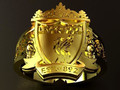 Liverpool RING Мы никогда не будем ходить одни 26032