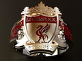 Liverpool RING Мы никогда не будем ходить одни 26032