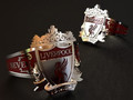 Liverpool RING Мы никогда не будем ходить одни 26032