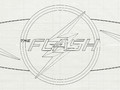 - flash 10 151491