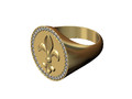 Кольцо с печаткой Heraldic lys flower с большим бриллиантом 21 мм размер США 9 152034