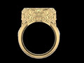 овальное гигантское кольцо stl проверенная для - 189358