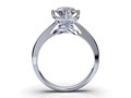 Дизайн помолвочного кольца Diamond Ring CC110 116008